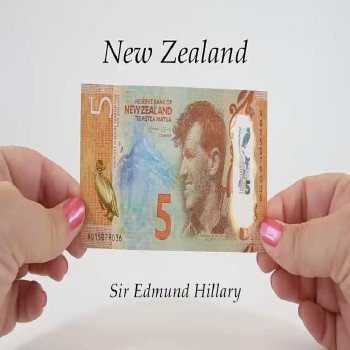 Buy Fake $5 NZD Bills