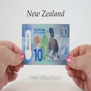 Buy Fake $10 NZD Bills