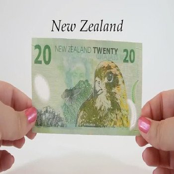 Buy Fake $20 NZD Bills