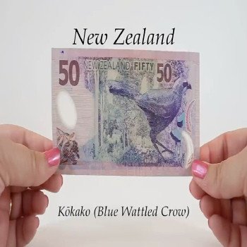 Buy Fake $50 NZD Bills